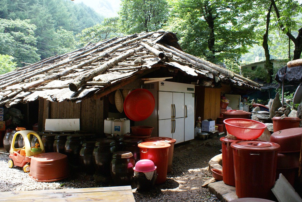 삼척대이리굴피집